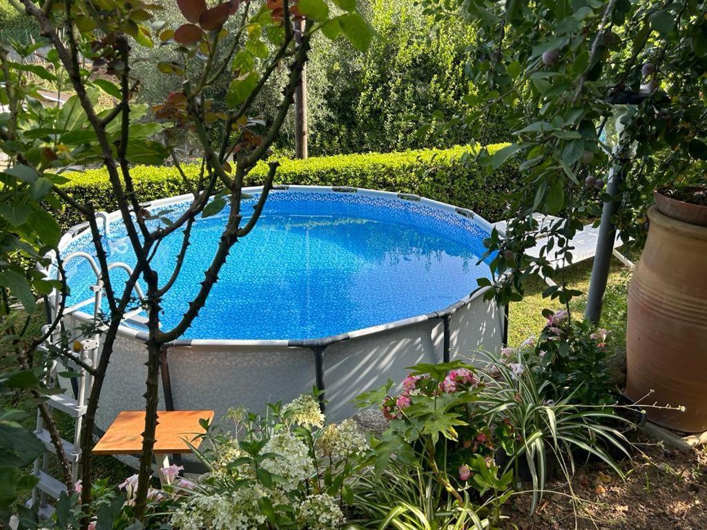 Casa Anna A Pietrasanta In Toscana Con Piscina Exteriér fotografie